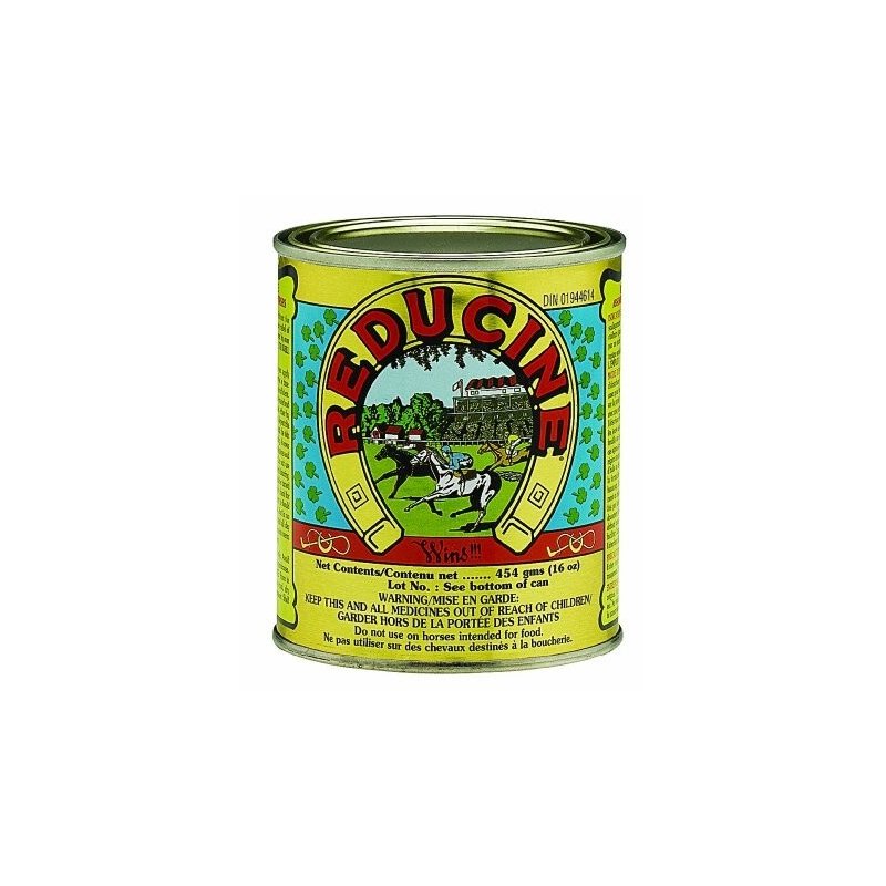 Farnam Reducine Absorbent 450g