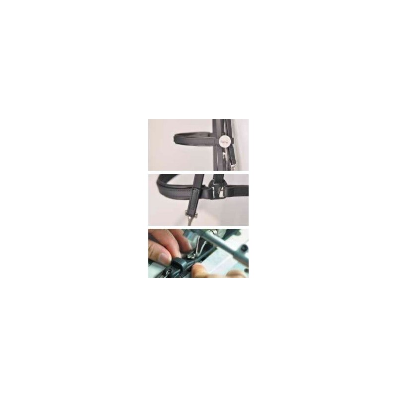 Briglia da dressage Tekna in PVC Umbria Equitazione