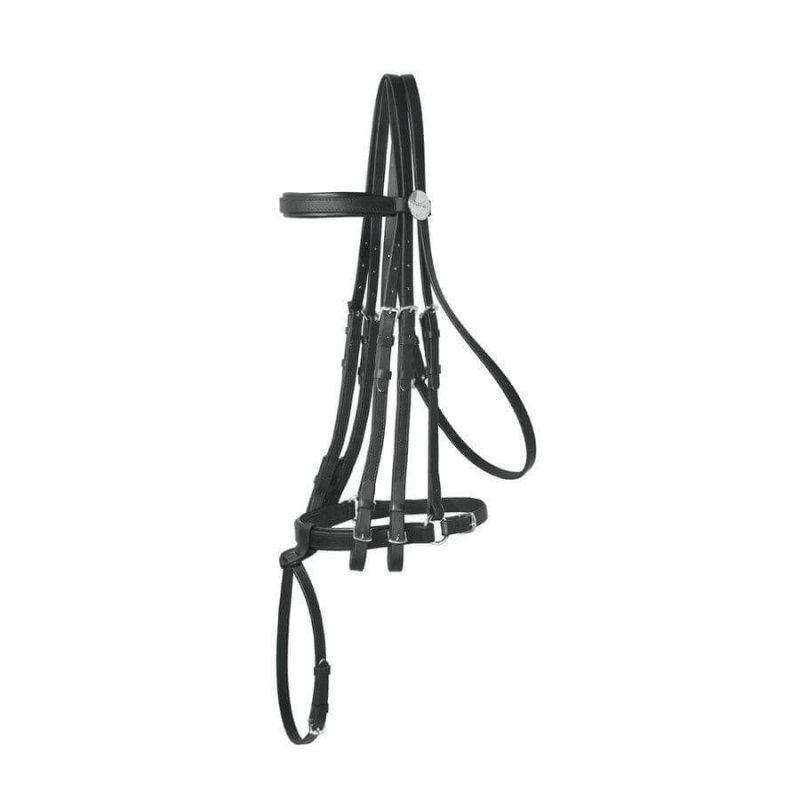 Briglia da dressage Tekna in PVC Umbria Equitazione