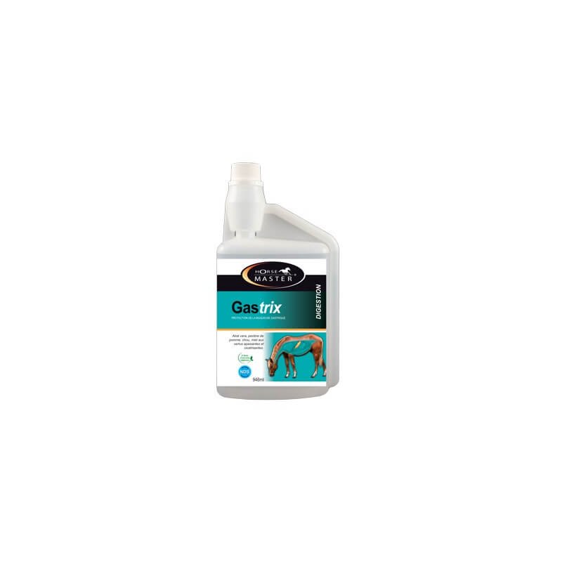 Horse Master Gastrix integratore protettivo mucosa gastrica per cavalli