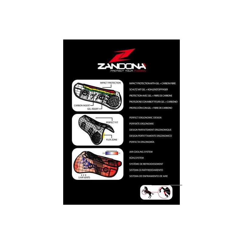 Zandonà Paratendini Carbon Air Balance Tendon