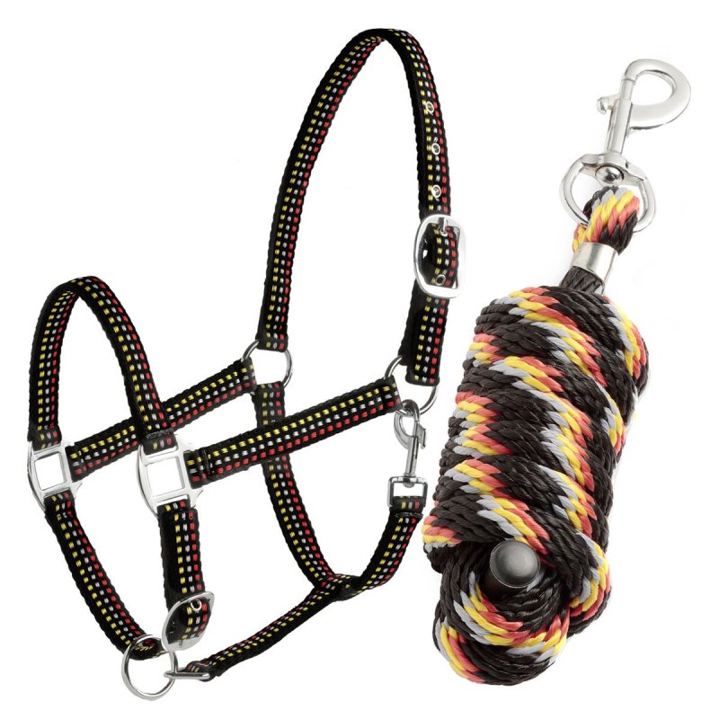 DaslÖ set Capezza + longhina - EquiSportMania