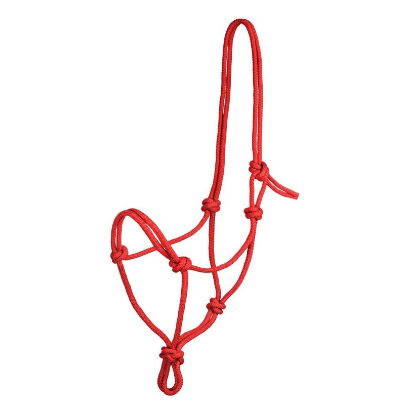 Pool's Equitazione Cavezzina in nylon annodata - EquiSportMania