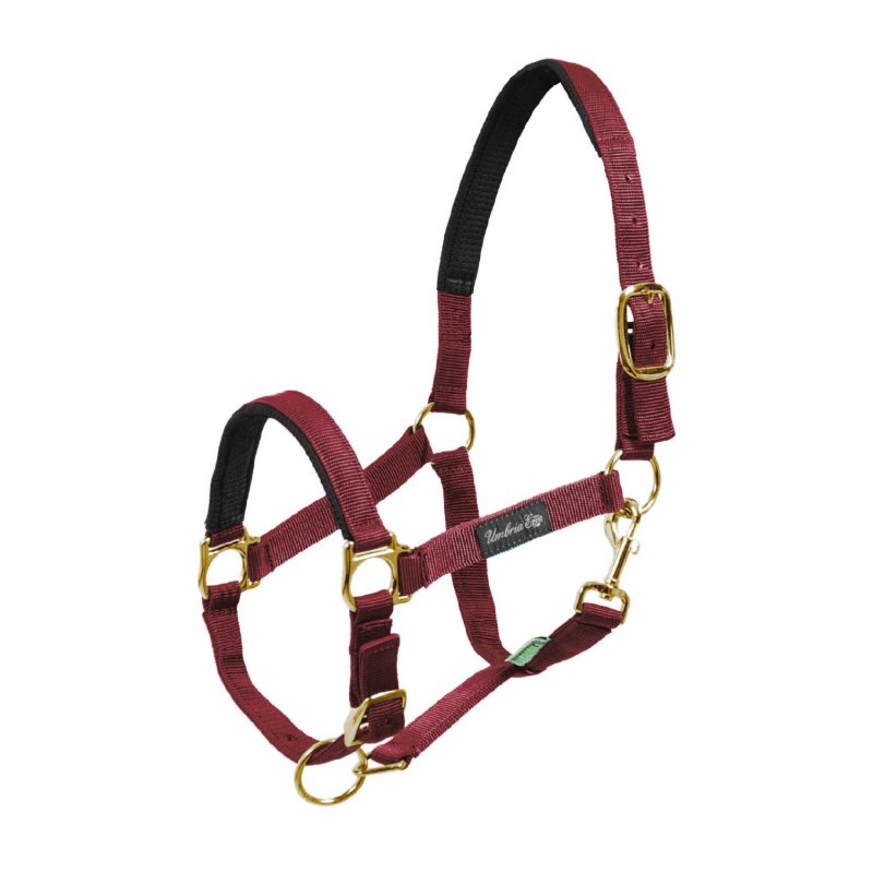 Umbria Equitazione Cavezza in nylon e rinforzo in neop- EquiSportMania