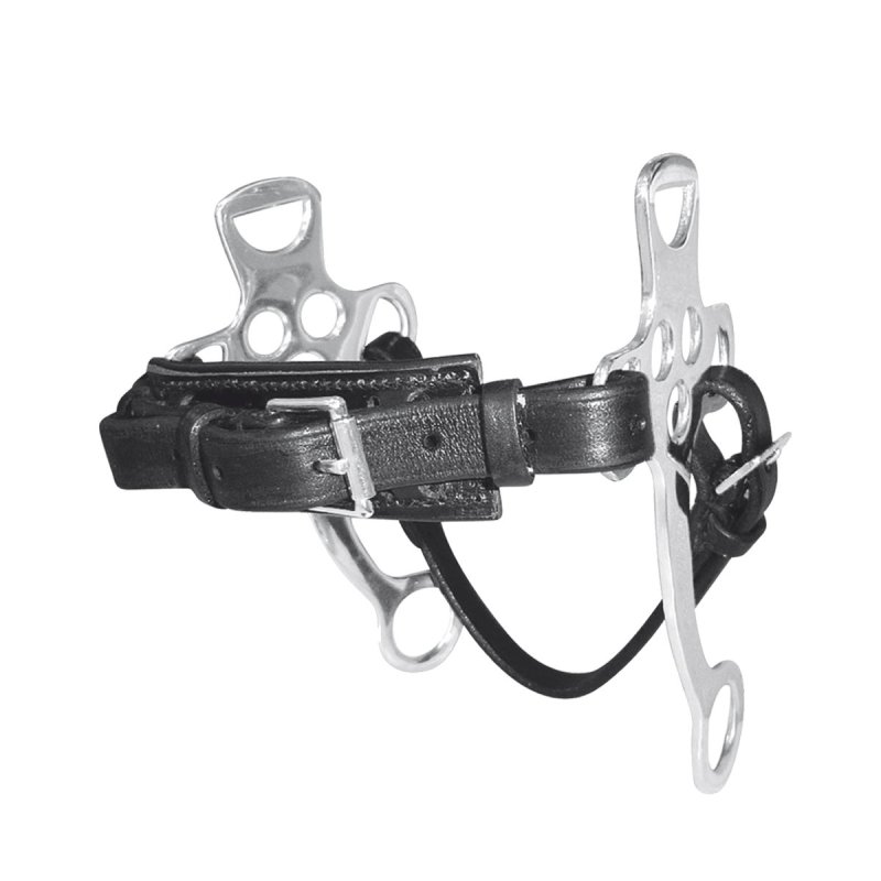 Hackamore Tattini con aste in acciaio
