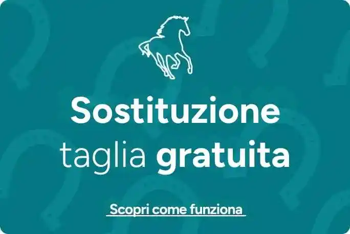 Sostituzione tagliando gratuita